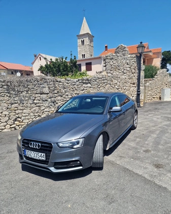 Audi A5 cena 75900 przebieg: 215000, rok produkcji 2014 z Lesko małe 22